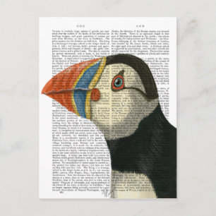 Carte Postale Portrait Puffin