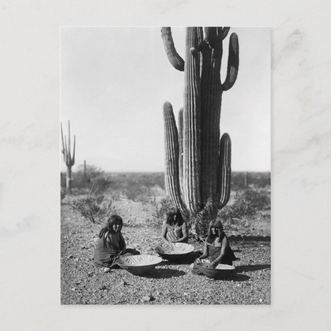 Carte Postale Portrait Vintage amérindien (Devant)