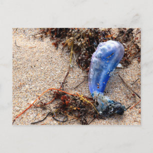 Carte Postale Portugais de guerre #1