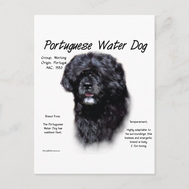 Carte Postale Portugais de l'histoire des chiens d'eau Design (Devant)
