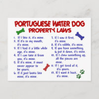 PORTUGAIS WATER DOG, propriété Lois 2