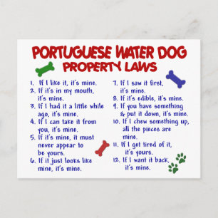 Carte Postale PORTUGAIS WATER DOG, propriété Lois 2