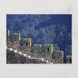 Carte Postale Portugal, Obidos. Marches près des murs crénelés