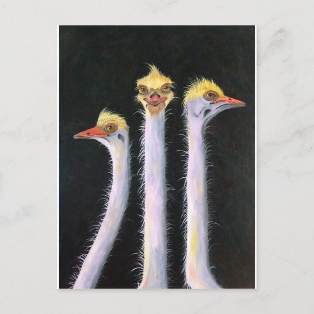 Carte Postale Poseurs (Devant)