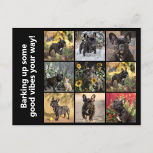 Carte Postale Possédez 9 x images + texte