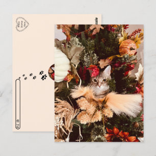 Carte Postale Post-croisement - Automne Le chat Pose pour l'auto
