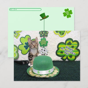 Carte Postale Post-croisement - Bandit La Saint-Patrick du chat