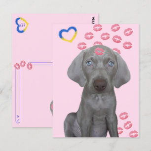 Carte Postale Post-croisement - Brooklyn the Dog's Kisses Postca
