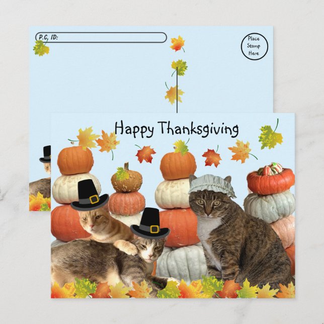 Carte Postale Post-croisement - Chats, Citrouilles et feuilles d (Devant / Derrière)