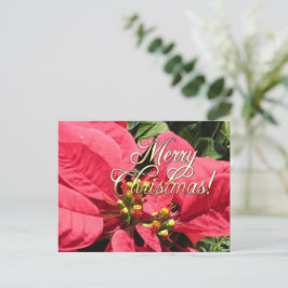 Carte Postale Postal Xmas 002 - Postcard