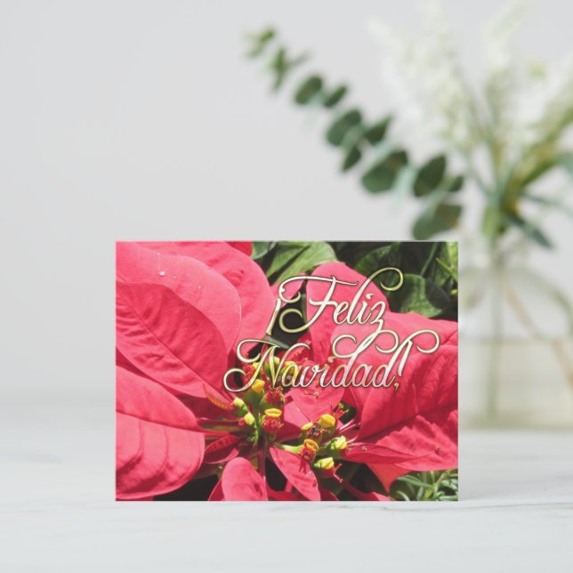 Carte Postale Postal Xmas 002 -Spanish  - Postcard (Debout devant)