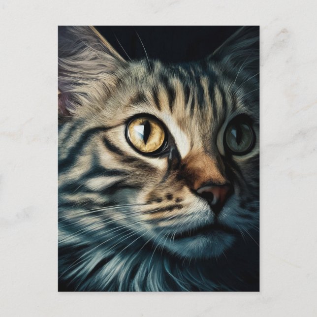 Carte Postale Postcard (Devant)