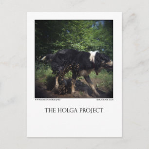 Carte Postale Postcard 8