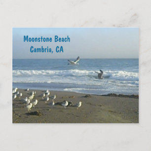 Carte Postale Postcard: Moonstone Beach, Cambria, C