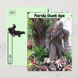 Carte Postale Postcrossing - Photo de l'Homme-singe de Floride