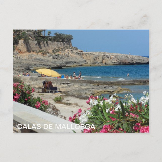 Carte Postale poste de Calas de Mallorca, playa (Devant)