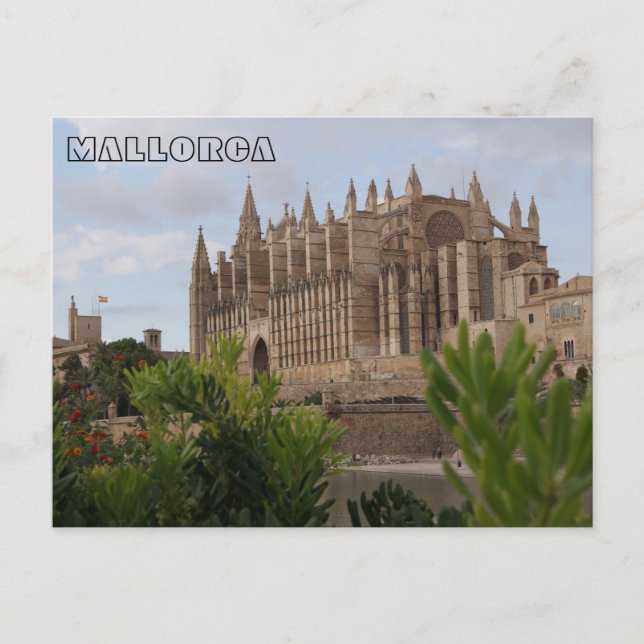 Carte Postale Poste de la Catedral de Majorque (Devant)