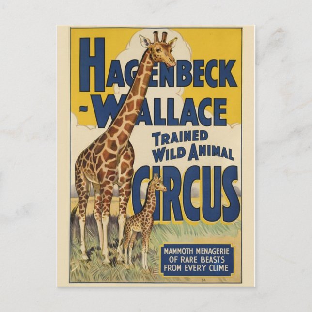 Carte postale Poster Circus (Devant)
