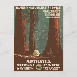 Carte Postale Poster du Vintage voyage du parc national Sequoia