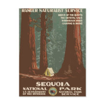 Poster du Vintage voyage du parc national Sequoia