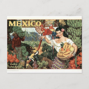 Carte Postale Poster vintage Mexique