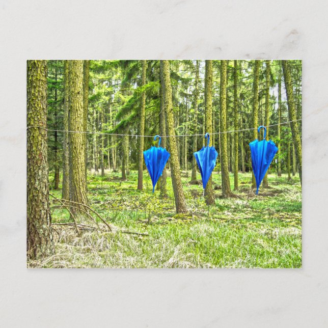 Carte Postale Postkarte - angeleint (Devant)