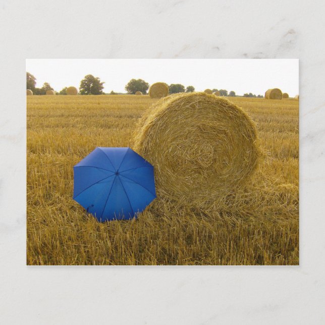 Carte Postale Postkarte - ein ungleiches Paar (Devant)