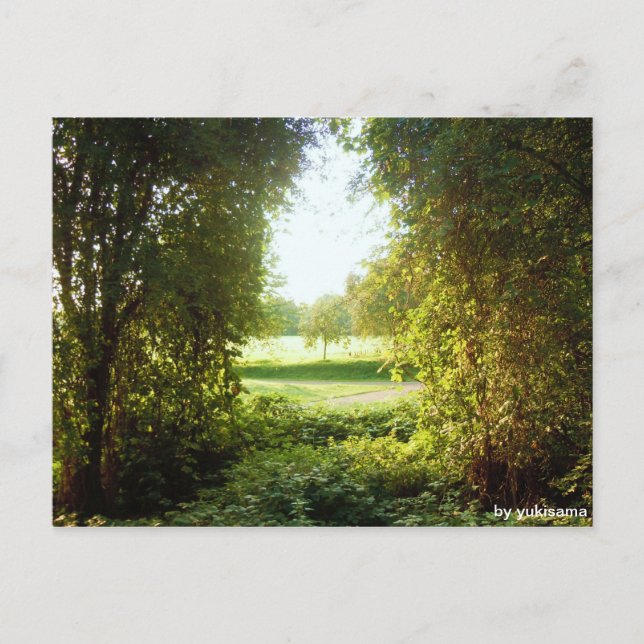 Carte Postale Postkarte - Laubfenster (Devant)