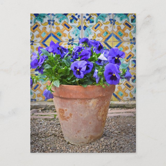 Carte Postale Pot à fleurs de panneaux violets (Devant)