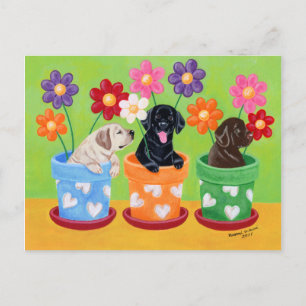 Carte Postale Pot à fleurs Labrador Chiots