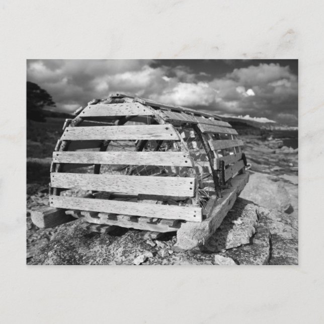 Carte Postale Pot de homard (Devant)