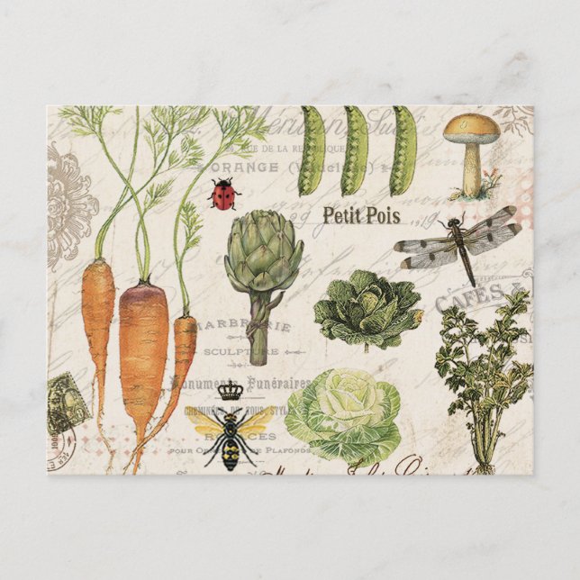 Carte Postale potager vintage (Devant)