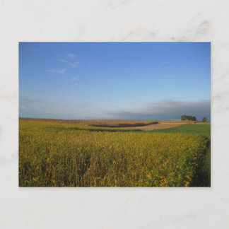 Carte Postale Potomac 1