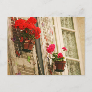 Carte Postale pots à fleurs