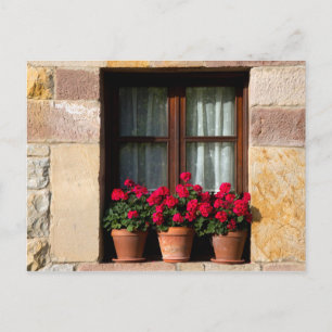 Carte Postale Pots de fleurs de fenêtre dans le village