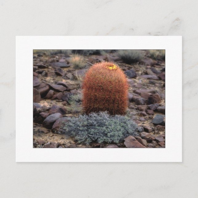 Carte Postale "Pouces " (Devant)