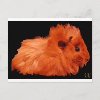 Carte Postale Poudre