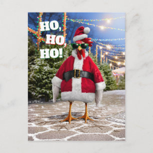 Carte Postale Poule de Père Noël