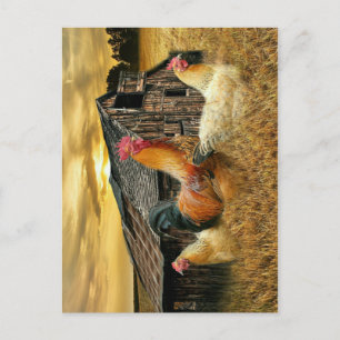 Carte Postale Poules de coq Russe Grotte Coop