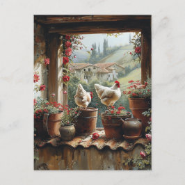 Carte Postale Poules Seau Rouillé Pots En Terre Cuite Tuiles Cam