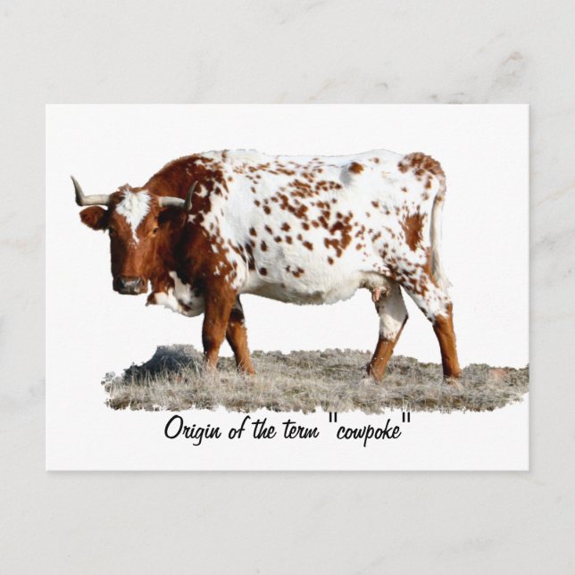 CARTE POSTALE POULET (Devant)