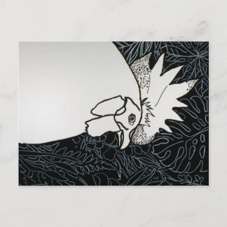 Carte Postale Poulet 1