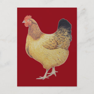 Carte Postale Poulet 2012