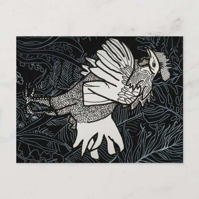 Carte Postale Poulet 3 (Devant)