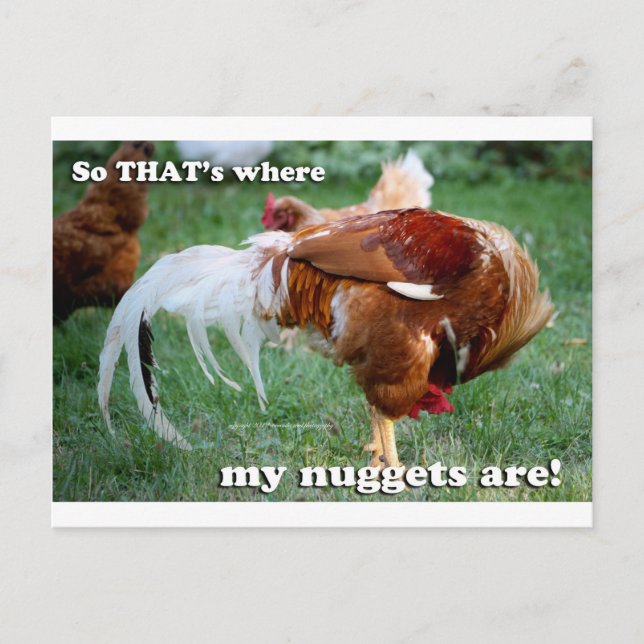 Carte Postale Poulet - Coq (Devant)