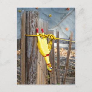 Carte Postale Poulet en caoutchouc pendu