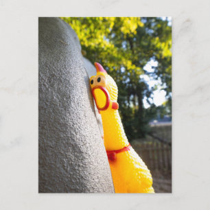 Carte Postale Poulet en caoutchouc qui grimpe