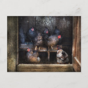 Carte Postale Poulet - La Maison Hen