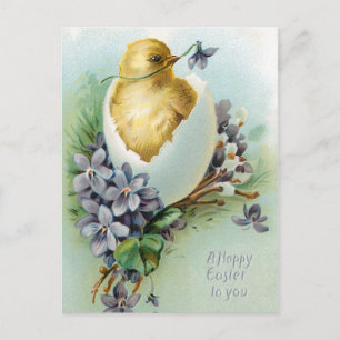 Carte Postale Poulet vintage et vœux de Pâques