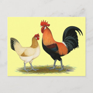 Carte Postale Poulets de Penedesenca
